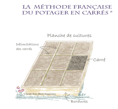 schéma des 9 carrés regroupés dans une planche de cultures, selon la méthode française du potager en carrés par Anne-Marie Nageleisen