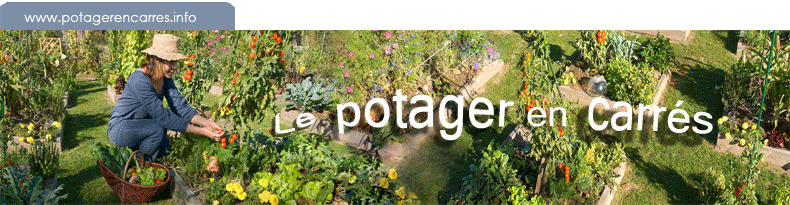 Bienvenue sur le site du potager en carrés à la française, www.potagerencarres.info par Anne-Marie Nageleisen, auteure de la méthode française du jardinage en carré